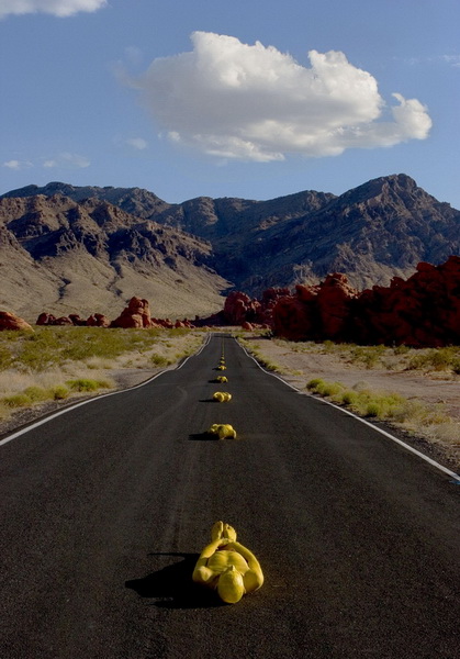 Une route du Nevada (Etats-Unis)
