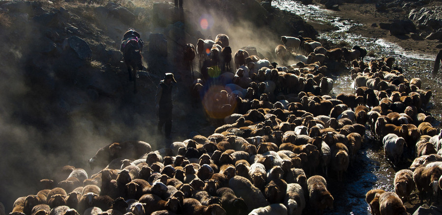 Xinjiang : les pasteurs nomades et la transition des saisons