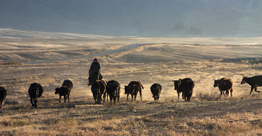 Xinjiang : les pasteurs nomades et la transition des saisons