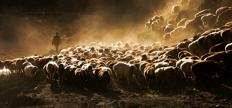 Xinjiang : les pasteurs nomades et la transition des saisons
