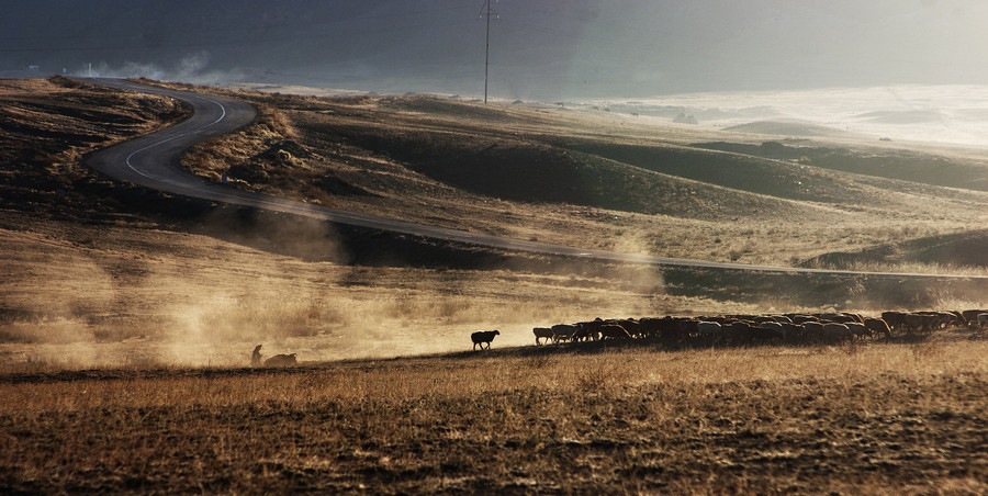 Xinjiang : les pasteurs nomades et la transition des saisons