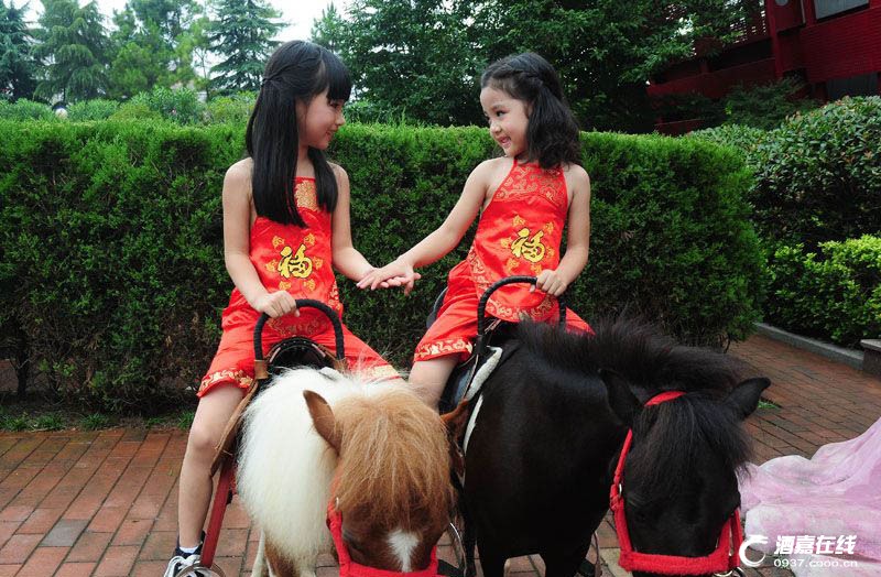 Enfants et animaux se retrouvent à Hangzhou