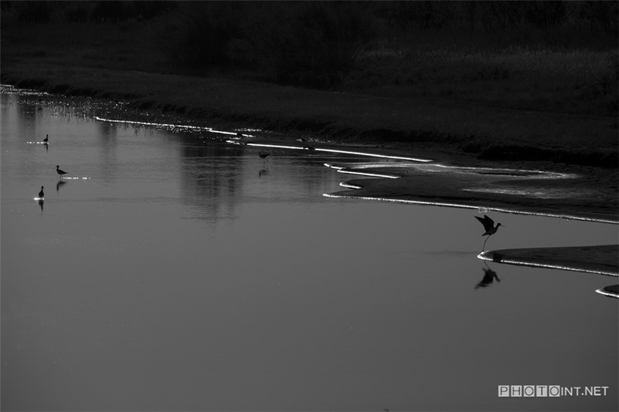 Lac de Qixing dans le désert de Kubuqi, Mongolie intérieure, Chine (2013).