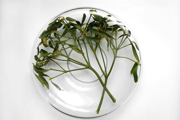 Un exemple des ?uvres d'art présentées à l'exposition ? Des sources à l'inspiration : les motifs ethniques dans le design polonais ?. [Photo / namoc.org]