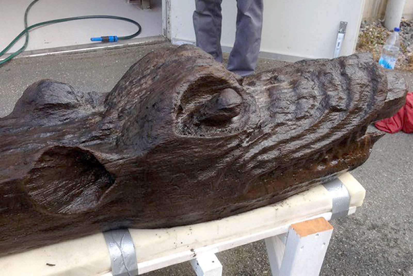 Découverte de la figure de proue d'un navire danois du 15e siècle dans les eaux suédoises