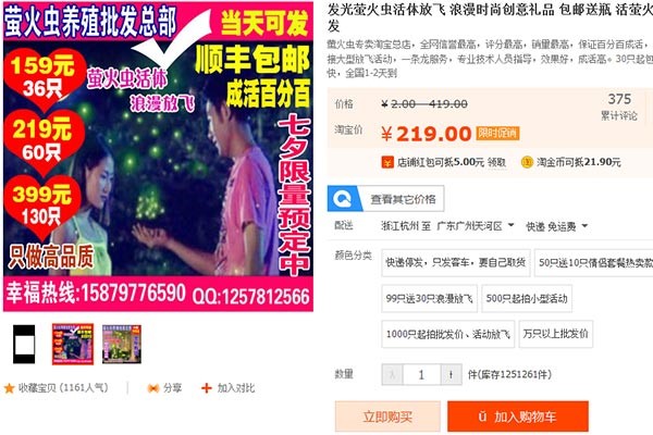 La Saint-Valentin chinoise, une catastrophe pour les lucioles