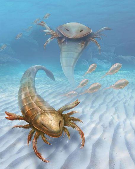 Voici le Pentecopterus, ancêtre géant du scorpion