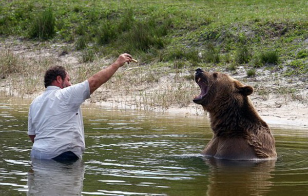 Une famille américaine a adopté 13 ours