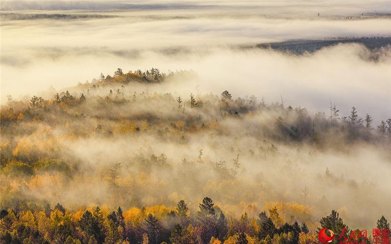 Les paysages d'automne de la ville la plus froide de la cha?ne du Grand Khingan 
