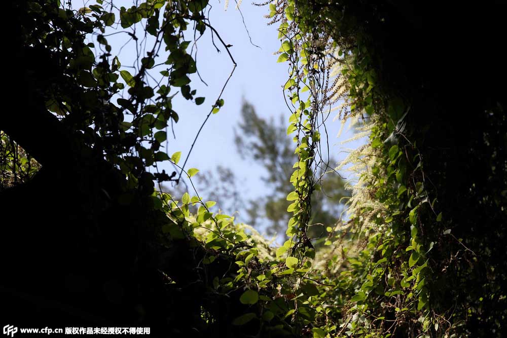 Abandonné depuis deux décennies, un village chinois veut se transformer en un monde féerique