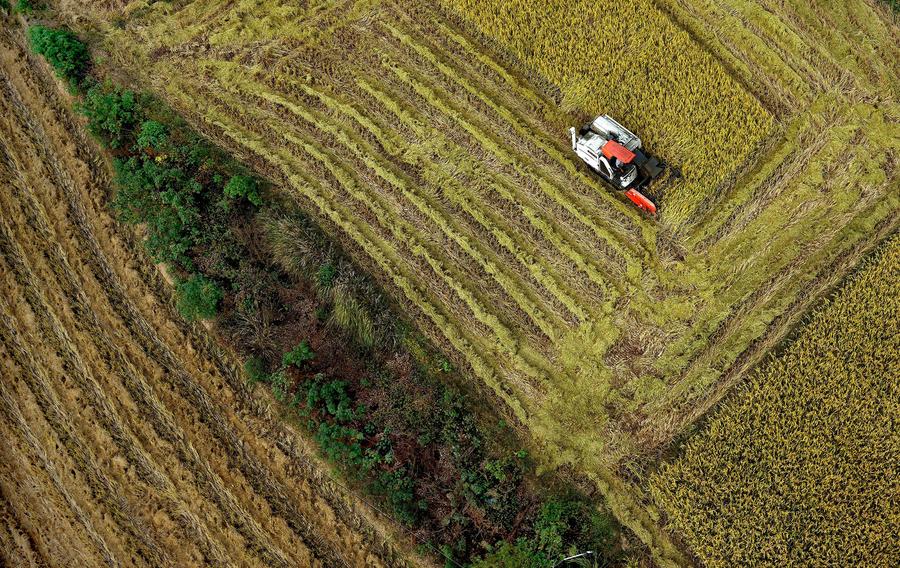 De superbes vues du comté de Feixi dans l'Anhui