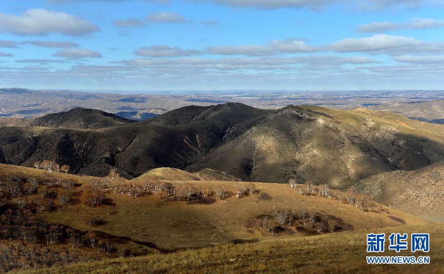 Automne : la réserve naturelle du mont Daqing sous toutes ses couleurs