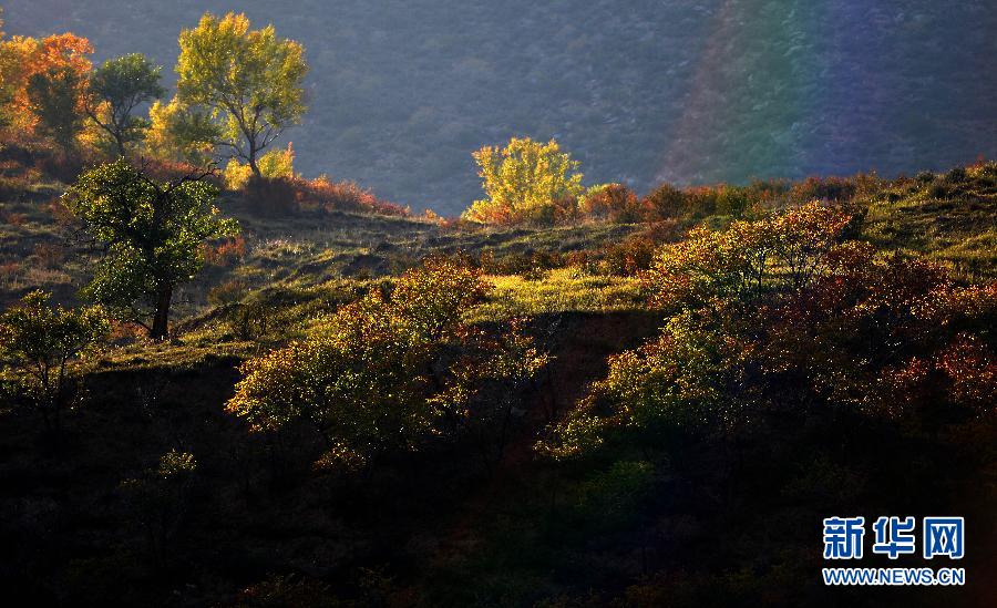 Automne : la réserve naturelle du mont Daqing sous toutes ses couleurs