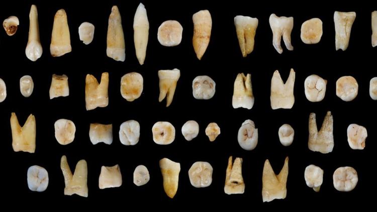 L'Homo Sapiens était présent en Chine bien avant d'arriver en Europe