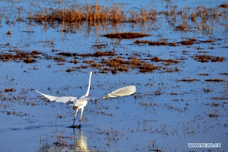 Paysages magnifiques de neige dans le mont Tian