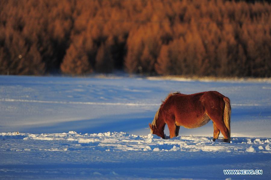 Paysages magnifiques de neige dans le mont Tian