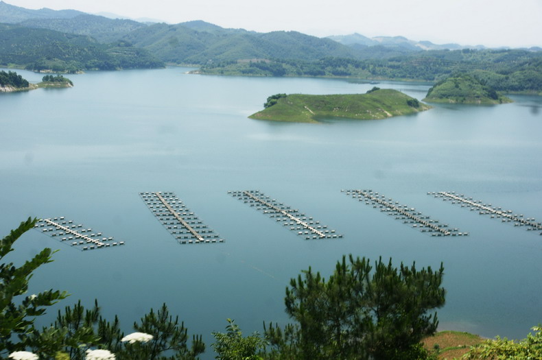 Hubei : ?la plus belle route? sur la bonne voie