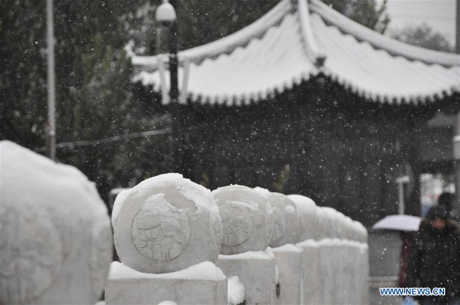 Paysages magnifiques de neige de Beijing