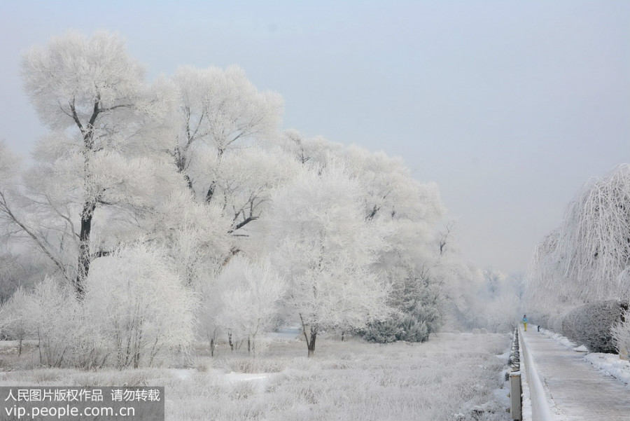 Jilin : les rives de la rivière Songhua prisonnières du givre