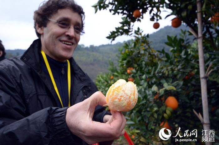 Découvrez les oranges de Ganzhou : une des spécialités du Jiangxi 