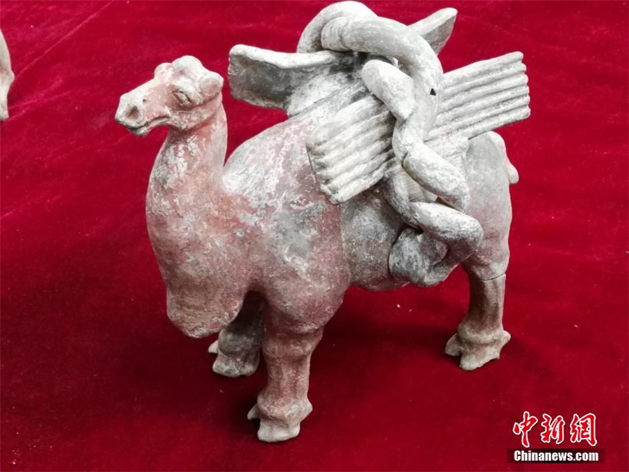 Dynastie des Zhou du Nord : la tombe d’une princesse mise à jour à Xi'an  