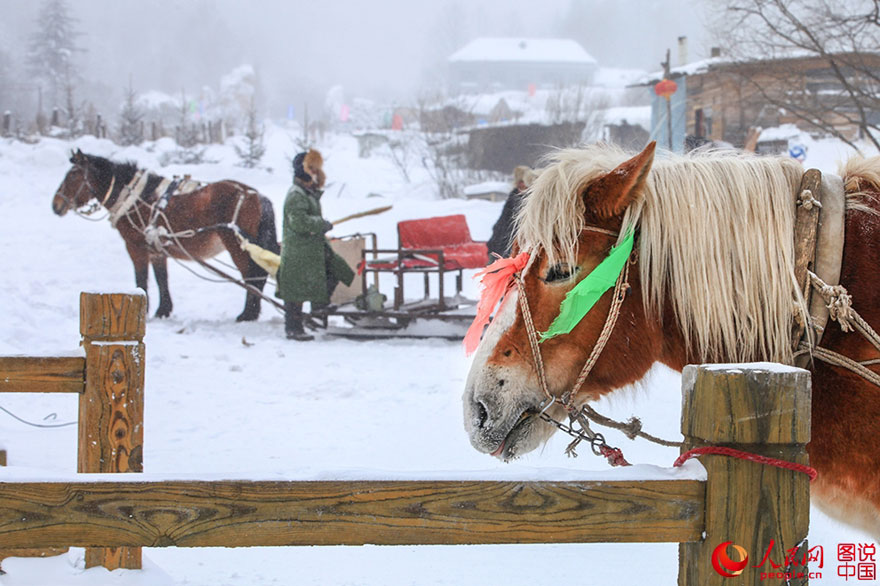 Heilongjiang : un village de neige à couper le souffle