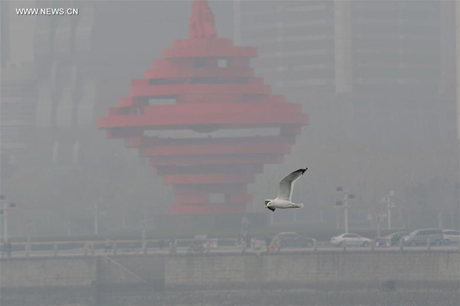 Plusieurs villes chinoises plongées dans le smog