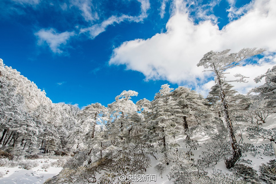 L'enivrant ? monde de cristal ? des Monts Cangshan sous la neige à Dali