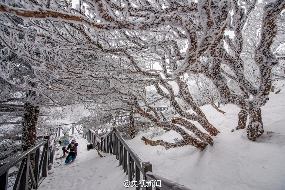 L'enivrant ? monde de cristal ? des Monts Cangshan sous la neige à Dali