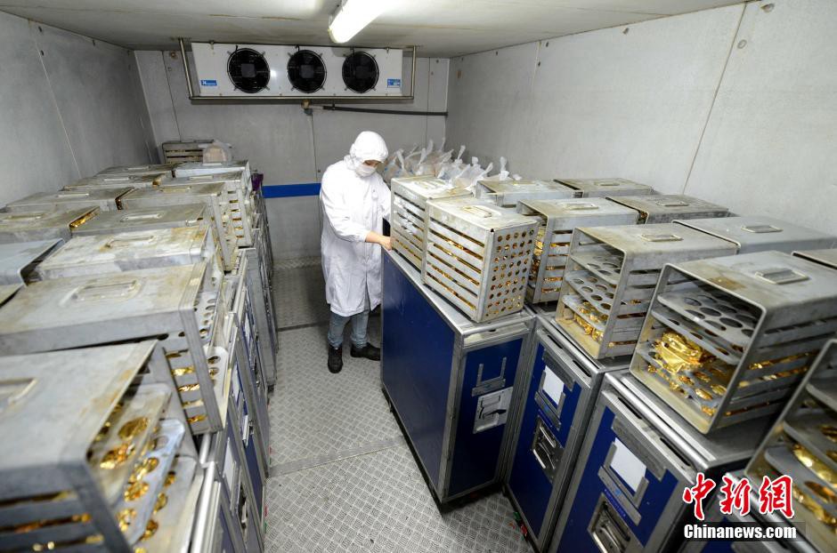 Préparation de vos repas de vol en direct