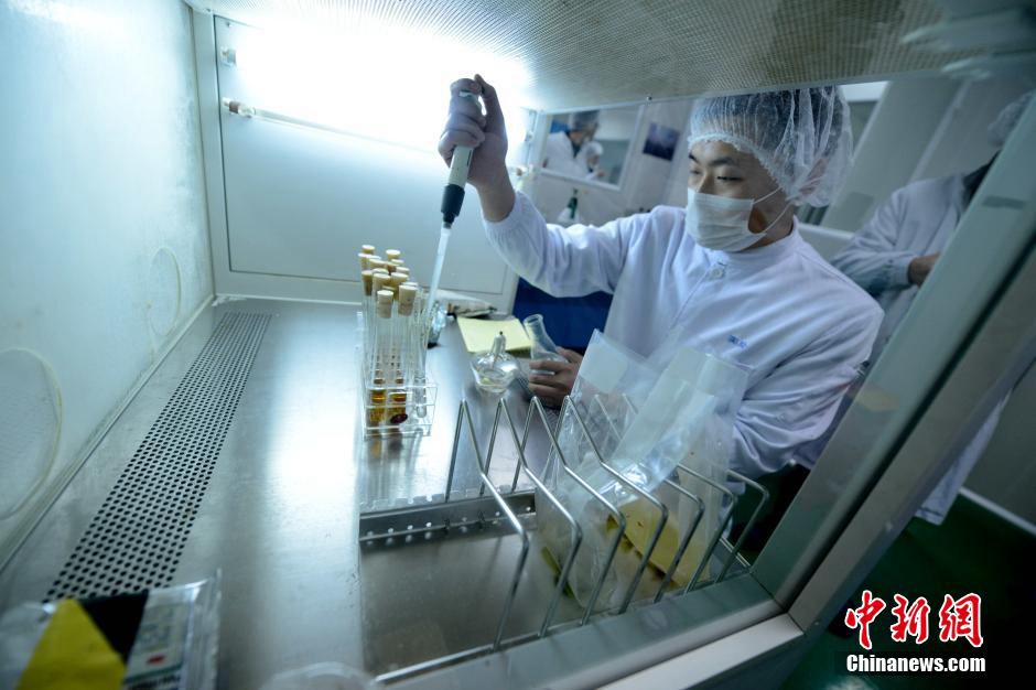 Préparation de vos repas de vol en direct