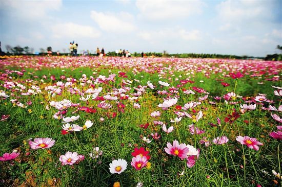 En mars, une sortie en pleine nature à Hainan