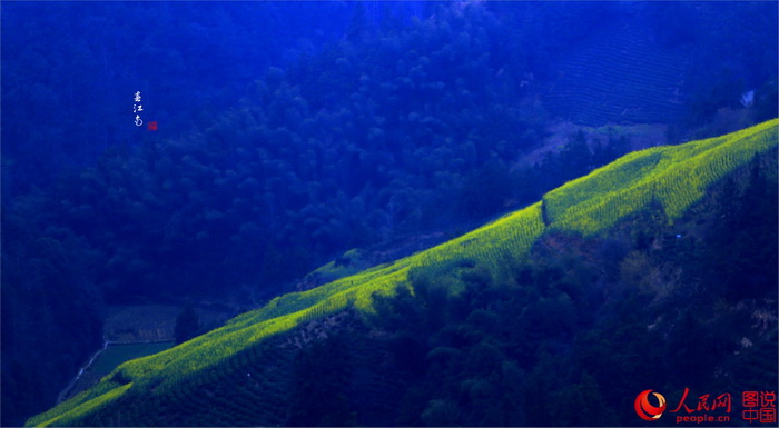 Anhui : de magnifiques vues printanières