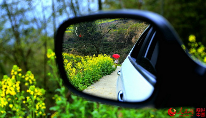 Anhui : de magnifiques vues printanières