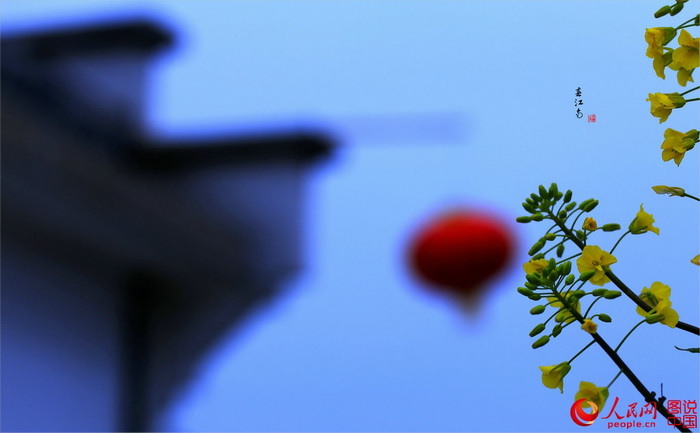 Anhui : de magnifiques vues printanières