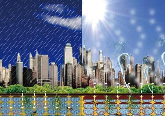 ? Villes éponges ? : un projet pilote chinois inspire Montréal