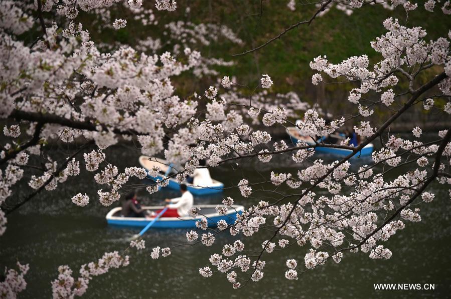Une semaine d'actualités en images (du 4 au 19 avril 2016)