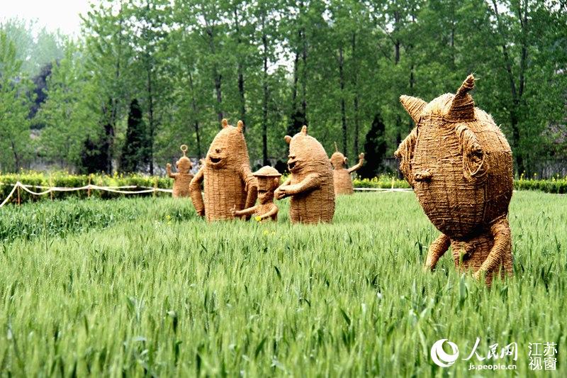 Un champ spectaculaire de dragons