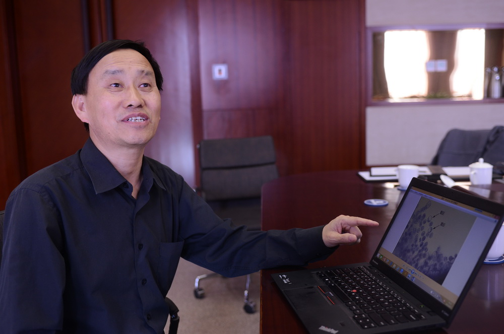 Développement embryonnaire : une première dans l’espace