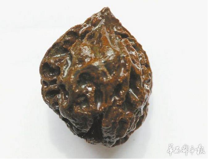 Découverte d'un site de près de 4000 ans d'histoire dans le Sichuan