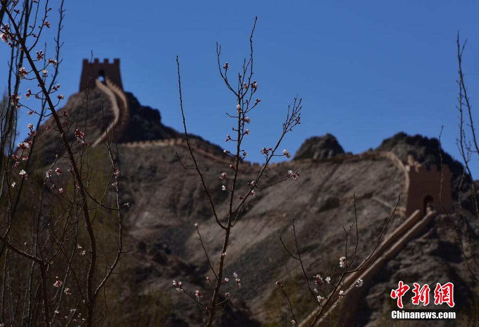 Gansu : les couleurs du printemps à la Grande Muraille de Jiayuguan