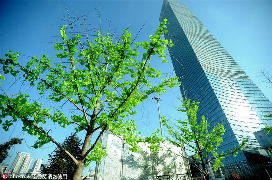 Un nouveau top 10 des villes chinoises de premier rang 