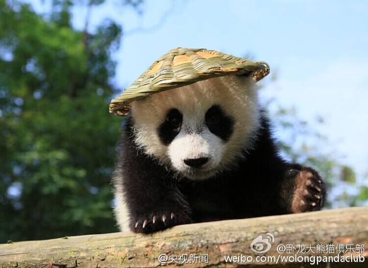 ?Kung Fu Panda?  au Sichuan