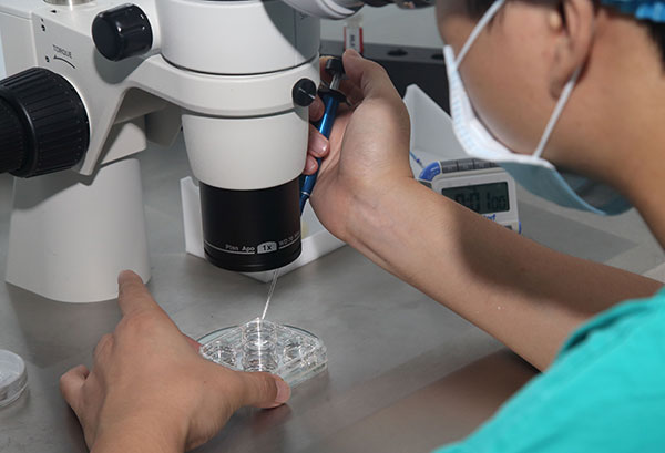 Alerte en Chine sur le don illégal d’ovocytes