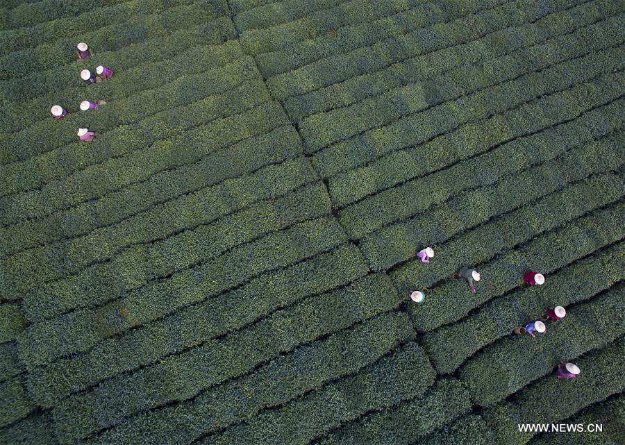Découvrez la belle ville de Hangzhou, où la Chine accueillera le sommet du G20