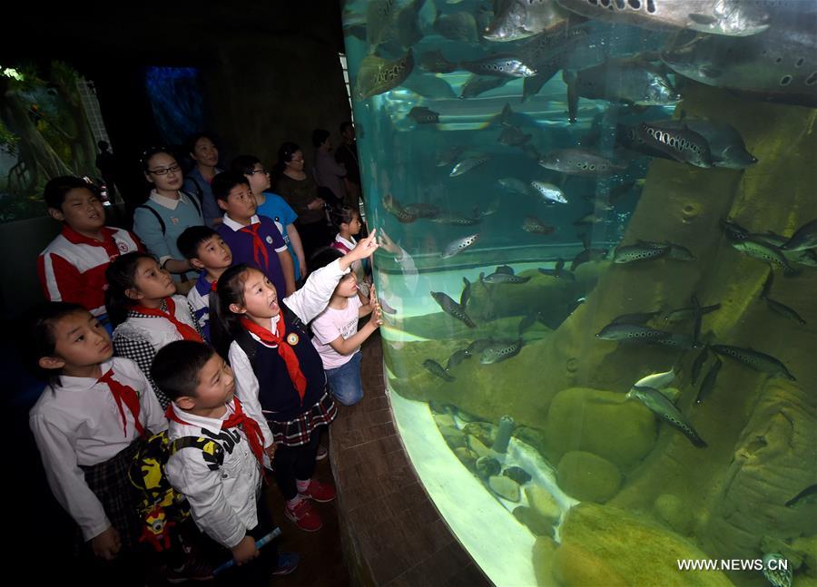 Célébration de la Fête des Enfants