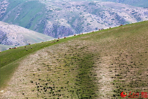 Le Grand Canyon de Kuokesu dans toute sa splendeur