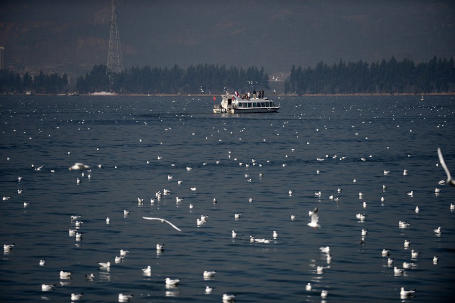 Des terrains humides pour la préservation du lac Dianchi 