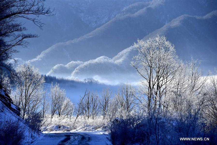 La réserve chinoise de Shennongjia inscrite sur la liste du patrimoine mondial de l'UNESCO