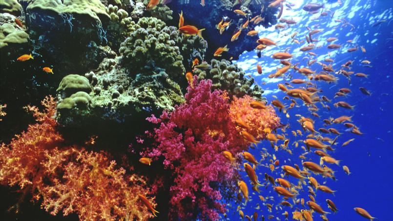 Huit nouveaux sites dans la liste de protection de l'Unesco